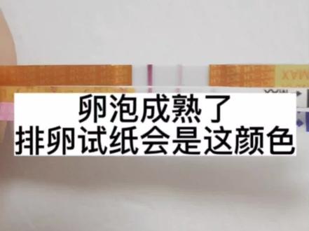 卵泡成熟了,排卵试纸居然是这个颜色?坐等开奖#备孕 #接一切好孕 #期待你的到来