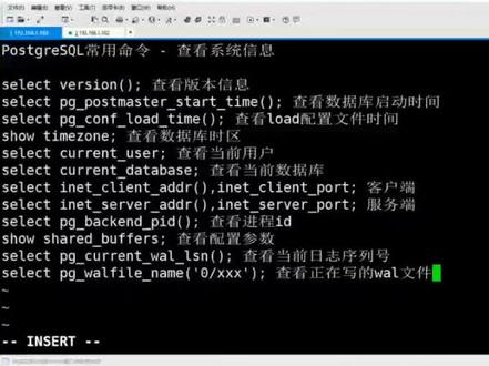 postgresql常用命令 - 查看系统信息 #知识分享 #干货分享 #学习