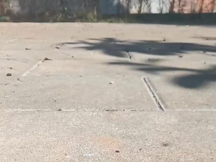 希望能火#乐辉#乐辉mcx