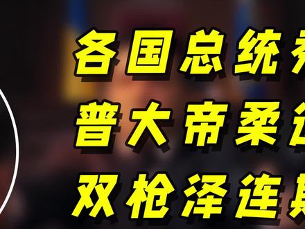 各国总统秀功夫,普大帝柔道八段,双枪泽连斯基,特朗普巴掌神功 #科普一下 #涨知识