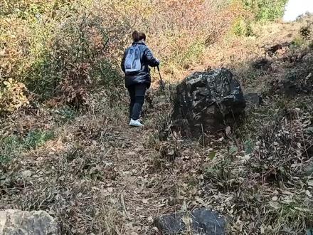 苏州观山来鹤峰探寻仙人洞 #户外 #探险 #旅游 #探洞 #苏州 #苏州旅游