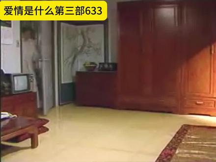 爱情是什么第三部633 还要给不懂事的弟弟擦屁股