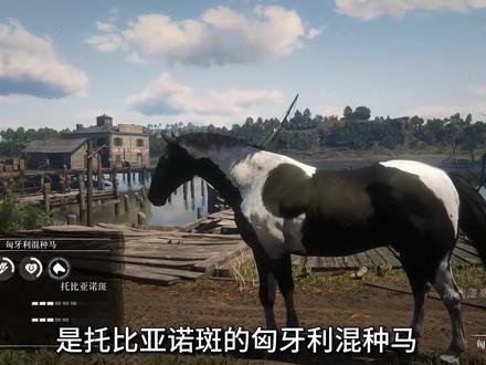 你最喜欢哪一匹?#荒野大镖客2 #r星 #steam游戏