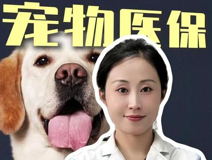 宠物看病贵到哭?一个动作让你省下大几千! #宠物医保 #宠物看病 #宠物健康 #新手养宠指南