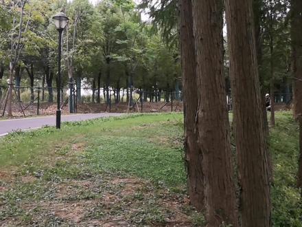 都市女性居家代步神器豪爵UCR100试驾体验