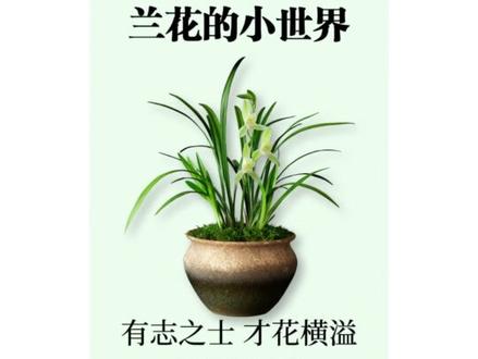 如何设计才能让版面更有秩序?用对齐是。 #平面设计 #秩序感 #设计师 #海报设计 #干货分享