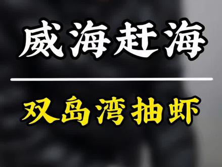 威海赶海 威海真实赶海,今天双岛湾抽虾,货真多,没空军。过几天准备挖蛏子爆桶。#威海赶海#户外赶海抓海鲜
