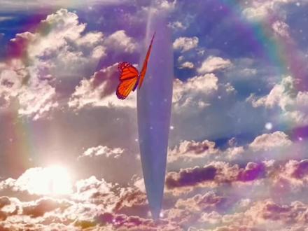 蝴蝶为什么能够飞行呢