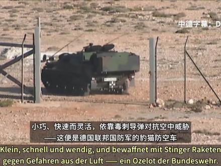 【小巧的低空杀手——德国“豹猫”防空车】