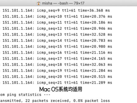 一个简单的命令测试网络质量 #黑客 #网络安全 #电脑技巧 #网络技巧