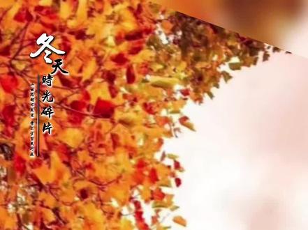 元日新章:2026的晨光
当2025年的最后一抹夕照悄然隐退于地平线,夜的幕布温柔地笼罩着大地,我们便站在了时光的渡口,凝望着2026年那扇即将开启的门扉。这扇门,隔开了过往的三百六十五个日夜,也连接着无限可能的崭新篇章。
午夜的钟声,是辞旧迎新的庄严号角。它悠扬而深沉地回荡在城市的上空,也敲击在每个人的心头。每一声,都像是在与昨日的自己作别,与那些或喜或忧、或平淡或激荡的往事挥手道一声“珍重”。钟声里,有对2025年的深情回望:那些奋斗的汗水,那些收获的喜悦,那些错过的遗憾,那些温暖的慰藉,都如电影胶片般在脑海中闪回。它们共同构成了我们生命的年轮,一圈又一圈,记录着成长的轨迹。
而当最后一声钟鸣消散在清冷的空气中,东方的天际已悄然泛起鱼肚白。2026年的第一缕晨光,正奋力穿透薄雾,温柔地抚摸着沉睡的大地。这光芒,带着新生的暖意和希望,宣告着一个全新的开始。它不问过往,不论成败,只是静静地铺洒开来,给予万物同等的光明与恩泽。
推开窗,清冽的空气扑面而来,夹杂着冬日特有的洁净和一丝不易察觉的春意。街道上,昨夜的喧嚣已沉淀为宁静,只有早起的人们