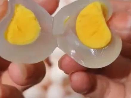 鸽子蛋煮熟后为什么是透明的#DOU出新知 #涨知识 #冷知识 #鸽子蛋 #科普 @抖音小助手