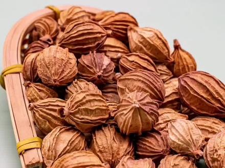 讲透卤水香料21集,香砂仁:赋予卤味回香。#香料 #小吃 #卤味