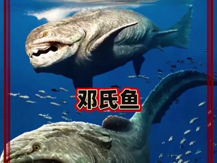 泥盆纪绞肉机——邓氏鱼 #邓氏鱼 #远古生物 #科普