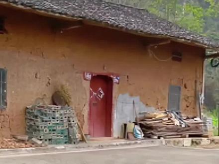 狗为什么这么怕老虎,狗魂都吓没了#狗