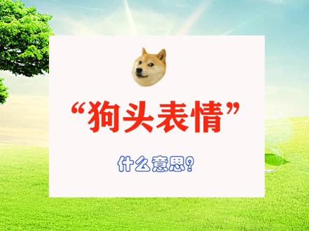 “狗头表情”是什么意思?#狗头 #狗头小剧场 #狗头卡包 #我要上热门 #涨知识 #每天学习一点点 #网络流行语 #网络流行词 #网络热词 #一起学习