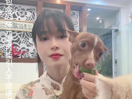 案子3:35 #案件故事解说 #抖音美食分享 #抖音玩法合伙人计划