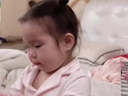 鸟儿越来越粘爸爸了#小宇宙