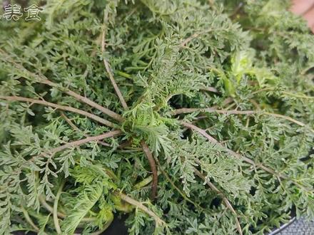 野菜麦蒿新吃法,不炒不蒸不凉拌,农村媳妇教你这样做,一口一个太香了 #美食 #美食教程 #野菜 #乡村味道