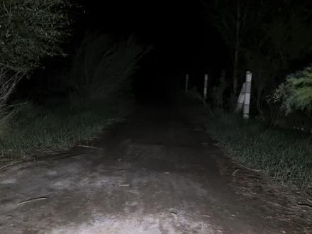 半夜11点把小房车拉进阴森小树林,误闯坟地#行走的小房车 #穷游祖国 #自行车拖挂小房车 #人力小房车 #胆小勿进