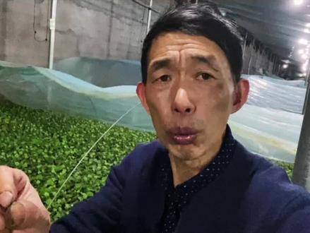 中华谚语精装分析#农谚 #关注我每天分享更多农业知识 #一年之际在于春 #农业种植 #老祖宗留下的老话