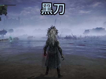 帅正是成王的理由 #艾尔登法环#武器