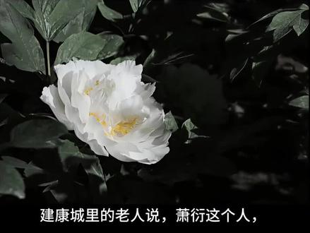 “南朝四百八十寺,多少楼台烟雨中”#萧衍 #南北朝#随笔