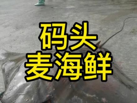还有人不知道在码头怎么买海鲜?#海鲜原产地 #港口码头 #渔民日常 #海鲜 #抖音创作者中心