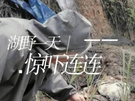 这个时候户外还是小心,带花纹的鳝鱼很多#新农人计划2023 #记录真实生活 #乡村生活