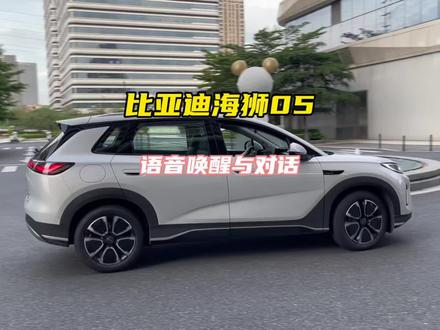 副驾和后座想要呼叫小迪没反应怎么办?只需要一个步骤就能解决#比亚迪 #海狮05 #每天一个用车知识 #汽车知识 #汽车功能教程