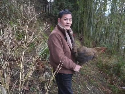 杨小永(刀疤哥)上山打野快速制作套脚陷阱,捕获一只老母鸡,就是一个漂亮
#刀疤哥 @山水刀疤哥 @山水刀疤哥(小)