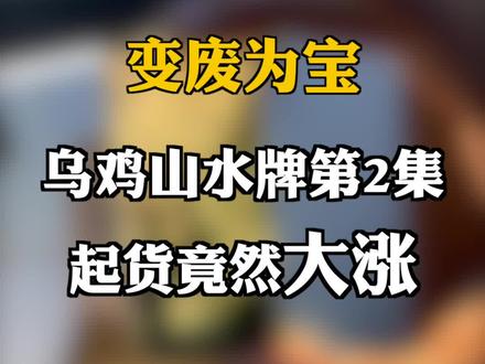 变废为宝的一天,这块冰乌鸡起货竟然大涨!#翡翠#手艺人