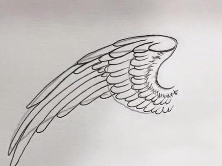 凤凰翅膀的画法。@抖音小助手 @抖音文化站 #日常教画 #玉雕