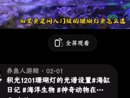 用了三个月新光谱,个人感觉还不错#海缸 #珊瑚灯 #积光1201 #珊瑚 #海缸开缸教程新手入门