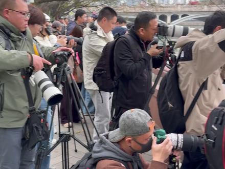 我在成都拍到了会御剑飞行的鸟 #九眼桥#成都#拍鸟#洗脚鸟#展示你拍的城市风景