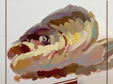 鱼头的画法🐟#心塑造水粉笔 #美术生美术联考 #联考 #王世君色彩教学 #知识创作人