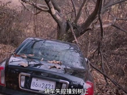 卷毛终于得到了安息 #韩剧解说