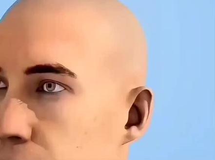 天空属于哈弗克!哈弗克的脑机才在造福人类