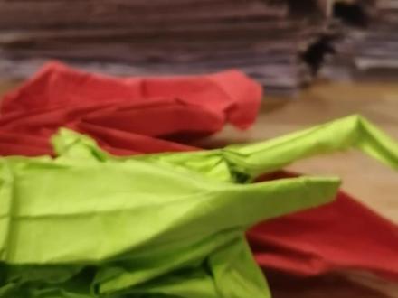 神谷哲史的长头蝗虫(24)#折纸教程