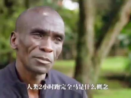 人类2小时跑完全马,是什么概念?#上热门 #马拉松 #运动 #自律 #日常训练