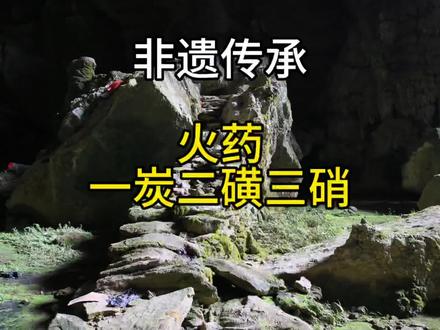 熬硝:硝是一种矿物质,其体积经过加热、燃烧能迅速膨胀,是制作火药的原料。古人开山炸石,狩猎,制作鞭炮,都离不开硝。
硝多存在于喀斯特地貌的溶洞、消坑中。硝与泥土、石沙伴生在一起,需要经过专门的熬煮,才能提炼出来。这种过程称为“熬硝”。随着现代工艺的发展,现在人们基本不熬硝了。但在凤冈的溶洞、消坑中,还很容易找到前人“熬硝”的遗迹。
土法熬硝,有一套流程。有经验的人,先选定有硝的溶洞或消坑、岩阡。熬硝先是要挖坑,一般要很大的坑,视洞里面硝土的厚度、成色决定坑的大小。坑挖好后,用工具将坑壁、坑底夯实,夯实到像镜子一样光滑、紧密。然后在坑的正下方挖一个蓄水的的小坑,同样夯实。在大坑的底部钻一个小洞,或者埋一根细管,通到蓄水坑中。大坑底部垫木头或石头,形成一个空间,在上面铺上厚厚的一层玉米秆或稻草,以便把后来倒人的硝土和坑底隔开,方便渗水。
接下来就是挖硝土。挖硝土是有讲究的,硝土味道分为酸甜苦辣四种,辣的最好,其次是苦味,再是甜和酸味。一般挖硝土不会挖太深,浅浅的刨下去十来公分就够了,挖太深了,泥土里的硝含量少了,挖了也没用。土挖好挑出来就往铺好玉米秆或稻草的坑里倒。开始倒的时候要慢慢倒,做到均匀分布,保证合适的松紧度。倒到坑的三分之一深度的时候,就要一边倒土,一边轻轻的踩。等硝土已经有坑的一半的高度时,就用木杵将倒下去的硝土夯实。
第三步是加水。把水倒入夯实的大坑里,等它浸入硝土,漏到蓄水坑中,漏完一挑再倒一挑。漏出来的水就是硝水了。硝水也是有品位的,刚流出的硝水味道最浓郁,像牛尿、猫尿一样呛人。越往后面味道越淡,淡到像喝水喝多后人尿的味道时,硝土就没硝了。
有了硝水,还得起一个灶台,安一口大锅,加火熬煮。一锅硝水熬煮到最后就会有晶体出现,这个就是硝的结晶体了。原始的洞硝,颜色不会很纯正,带黄色,做鞭炮也不好用,这样的洞硝晶体叫毛货。毛货挑回家,加水,加杉树灰搅拌,混合均匀,滤除杂质,再加火熬煮到晶体再次出现,此时的硝方为成品,叫白货。
熬好的硝,按一定比例配上木炭、硫磺,用碓舂好,就成了火药。也可以把硝卖给皮革加工者,用它来硝牛皮等皮革,使之变弱软、耐用。硝本身也是很好的肥料,化肥硝酸铵、硝酸钾等都含有它的成分。#非遗文化#遗址保护