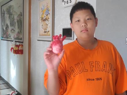 从小就喜欢玩粘土,上了初中有了生物课后,可有用武之地了,看看今天我用粘土制作的心脏模型吧#手工diy #动手制作 #粘土 #七年级生物 #细胞模型 #科学实验 #初一细胞模型 #七年级生物心脏模型 #家有初中生