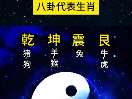 八卦代表生肖 #传统文化