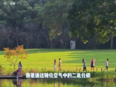 杭州果然是科技之都,连灭蚊都这么卷 #发明 #蚊子 #灭蚊