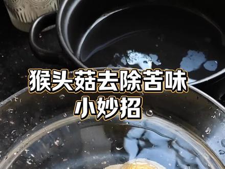 猴头菇去除苦味小妙招#猴头菇 #优质农产品 #源头好货 #菌菇 #猴头菇去苦味