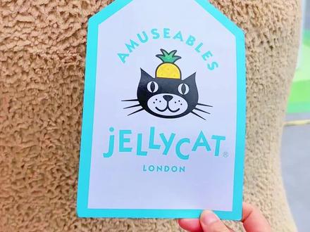 一条视频搞清楚Jellycat不同标签的意义
#JOYCODE #jellycat寓意 #礼物 #毛绒玩具 #jellycat