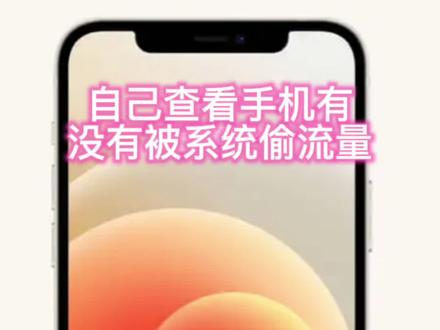 苹果怎么看流量使用情况 f3ef4ddc447a95c7dc56741f3142bd62~tplv-dy-resize-origshort-autoq-75:330.jpeg?x-expires=2025036000&x-signature=1Y9xXQb9wb5Z1matyTD8TtvVvjY%3D&from=3213915784&s=PackSourceEnum_AWEME_DETAIL&se=false&sc=cover&biz_tag=pcweb_cover&l=202403060646095964B31EB4BA45378C8D