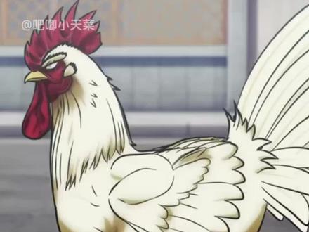 社会你鸡哥,人狠话不多#公鸡斗士#动漫#抽象#搞笑#日漫