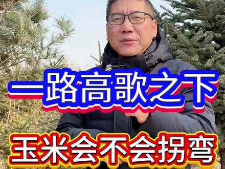 一路高歌涨价,玉米会不会拐弯!
#三农 #玉米 #玉米行情 #联达地娃 #地娃5588