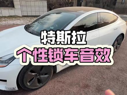特斯拉如何设置个性锁车音效,快和我学起来吧#特斯拉 #特斯拉model3 #特斯拉锁车声音